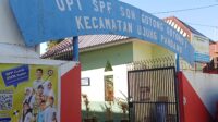 Oplus_2